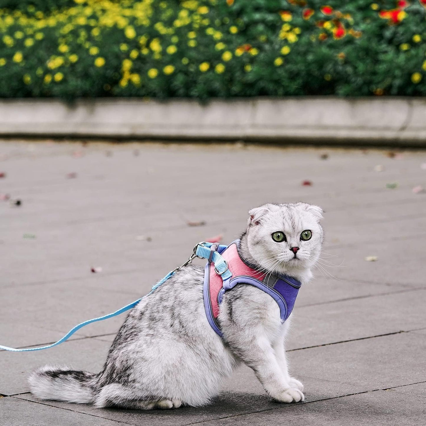 Cat Harness,Leash and Collar Set,Escape Proof Kitten Vest Harness for Walking,Easy Control Night Safe Pet Harness with Reflective Strap and Bell for Small Large Kitten,Fit for Puppy,Rabbit